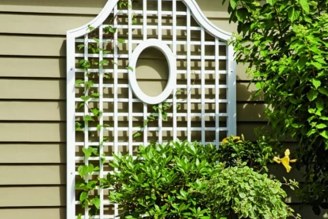 lattices with flowers on a house