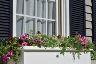 a window box with flowers